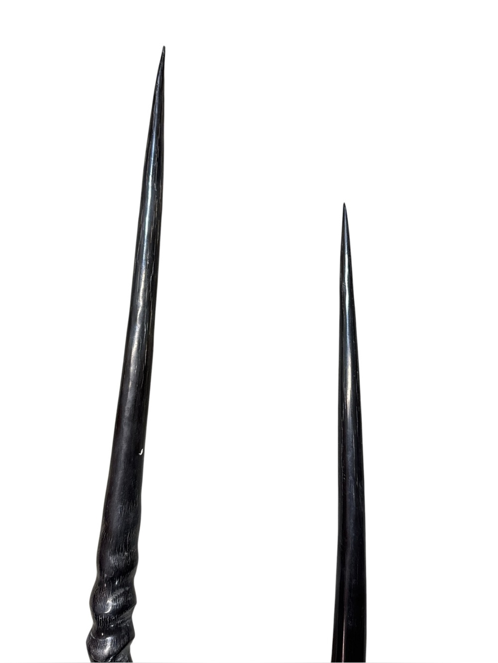 Polished Pair Oryx Gemsbok Horns 30 1/2” Pair Oryx Twised Polished Horns Antlers - Picture 5 of 5